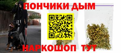 стаф Моздок