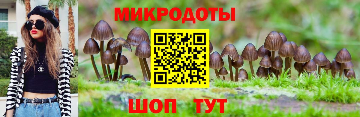 Псилоцибиновые грибы Psilocybine cubensis Хабаровск